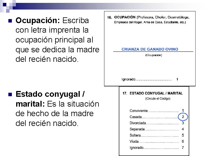 n Ocupación: Escriba con letra imprenta la ocupación principal al que se dedica la
