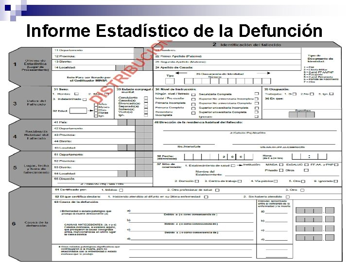 Informe Estadístico de la Defunción 