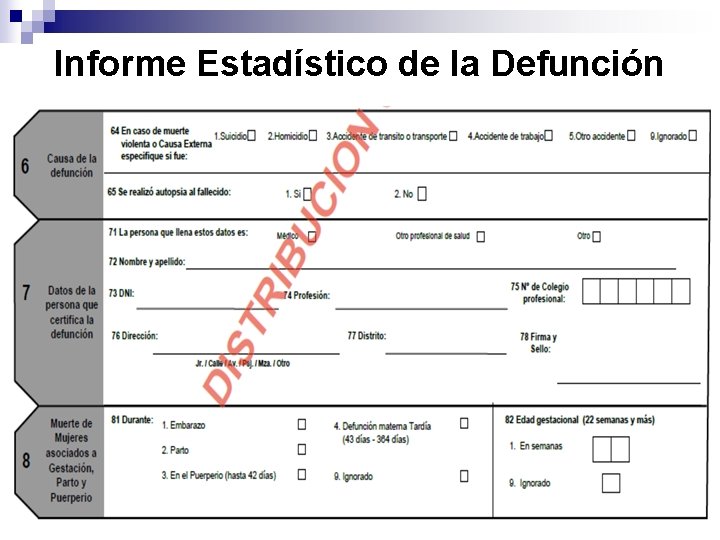 Informe Estadístico de la Defunción 