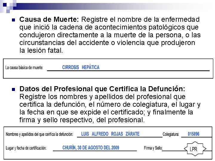 n Causa de Muerte: Registre el nombre de la enfermedad que inició la cadena