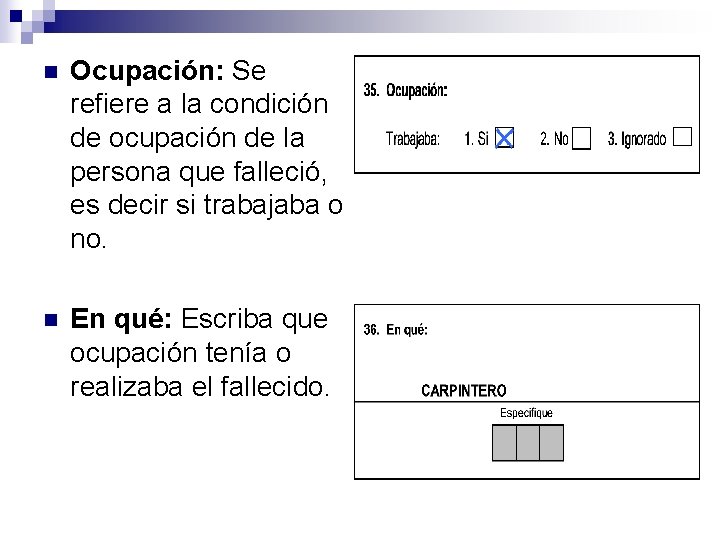 n Ocupación: Se refiere a la condición de ocupación de la persona que falleció,