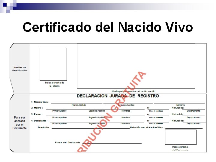 Certificado del Nacido Vivo 