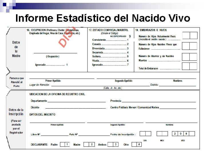Informe Estadístico del Nacido Vivo 