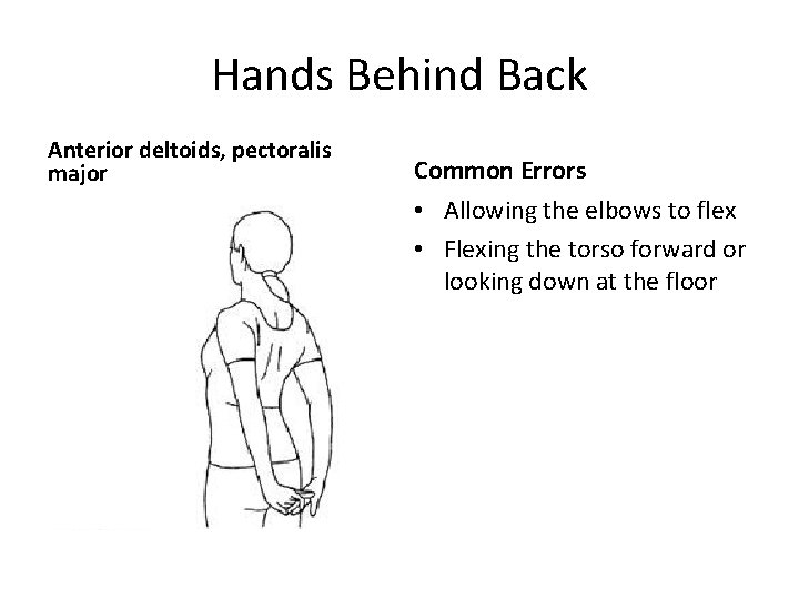 Hands Behind Back Anterior deltoids, pectoralis major Common Errors • Allowing the elbows to
