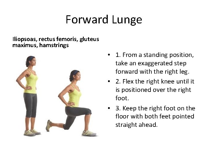 Forward Lunge Iliopsoas, rectus femoris, gluteus maximus, hamstrings • 1. From a standing position,