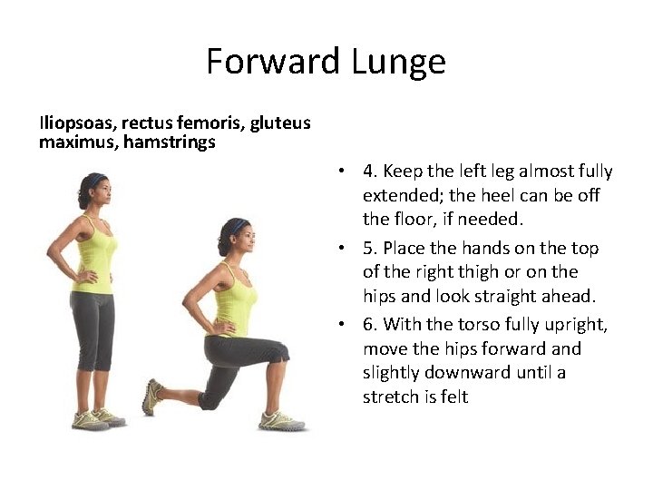 Forward Lunge Iliopsoas, rectus femoris, gluteus maximus, hamstrings • 4. Keep the left leg