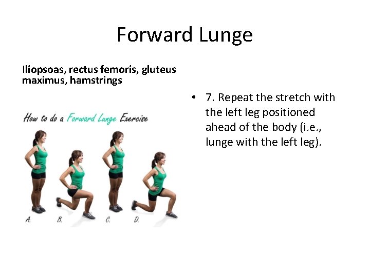 Forward Lunge Iliopsoas, rectus femoris, gluteus maximus, hamstrings • 7. Repeat the stretch with