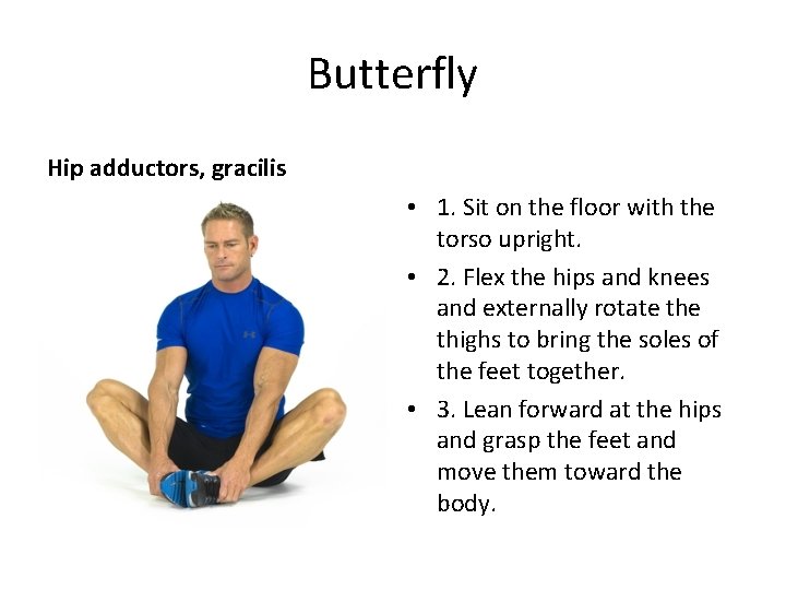 Butterfly Hip adductors, gracilis • 1. Sit on the floor with the torso upright.