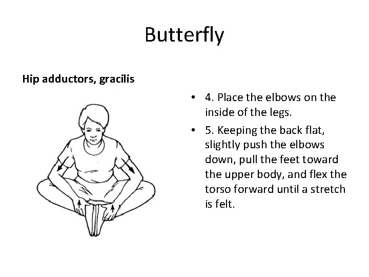 Butterfly Hip adductors, gracilis • 4. Place the elbows on the inside of the