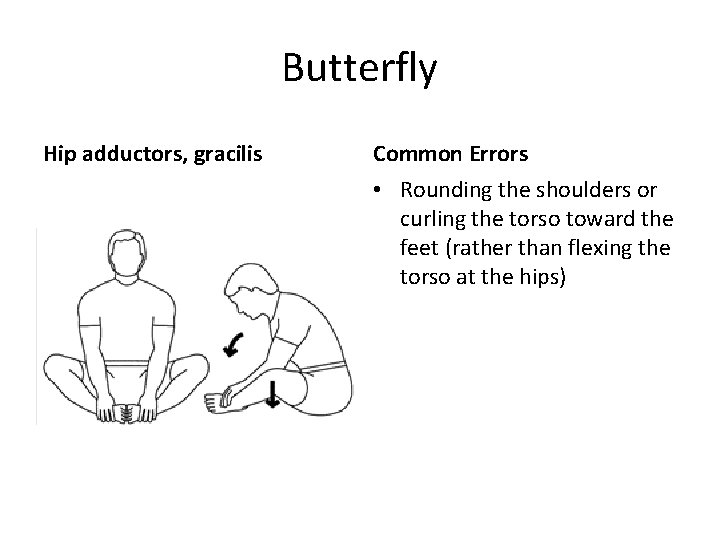 Butterfly Hip adductors, gracilis Common Errors • Rounding the shoulders or curling the torso