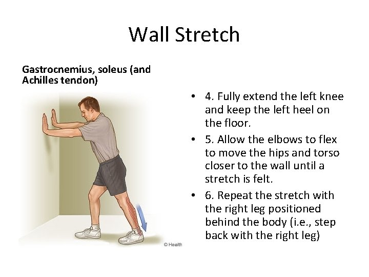 Wall Stretch Gastrocnemius, soleus (and Achilles tendon) • 4. Fully extend the left knee