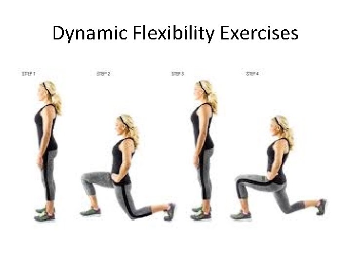 Dynamic Flexibility Exercises 