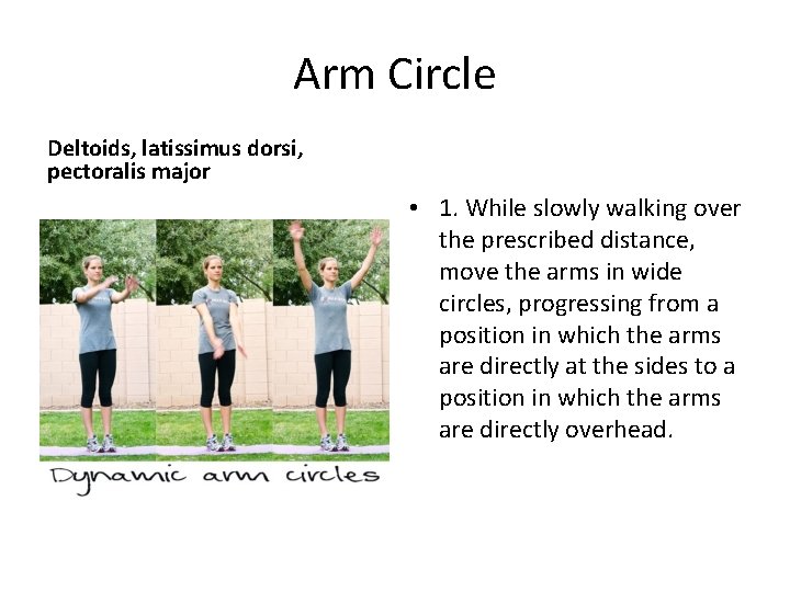 Arm Circle Deltoids, latissimus dorsi, pectoralis major • 1. While slowly walking over the