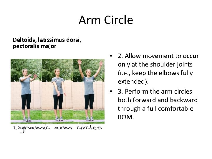 Arm Circle Deltoids, latissimus dorsi, pectoralis major • 2. Allow movement to occur only