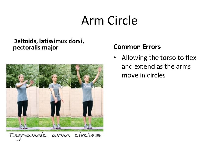 Arm Circle Deltoids, latissimus dorsi, pectoralis major Common Errors • Allowing the torso to