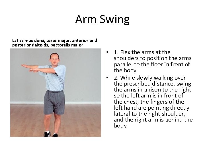 Arm Swing Latissimus dorsi, teres major, anterior and posterior deltoids, pectoralis major • 1.