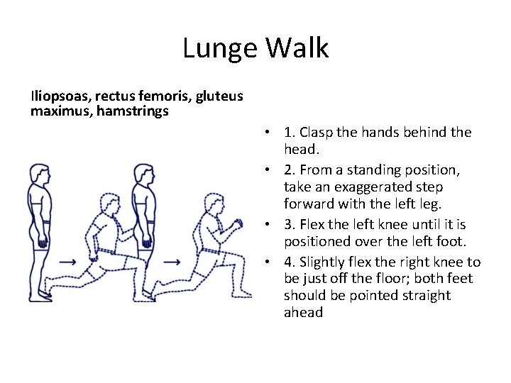 Lunge Walk Iliopsoas, rectus femoris, gluteus maximus, hamstrings • 1. Clasp the hands behind