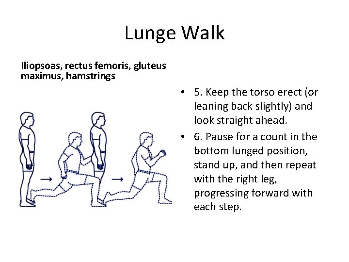 Lunge Walk Iliopsoas, rectus femoris, gluteus maximus, hamstrings • 5. Keep the torso erect