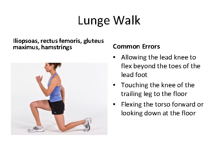 Lunge Walk Iliopsoas, rectus femoris, gluteus maximus, hamstrings Common Errors • Allowing the lead