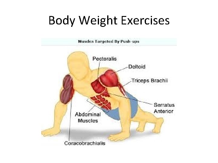 Body Weight Exercises 