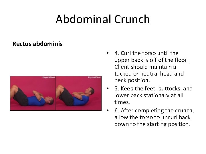 Abdominal Crunch Rectus abdominis • 4. Curl the torso until the upper back is
