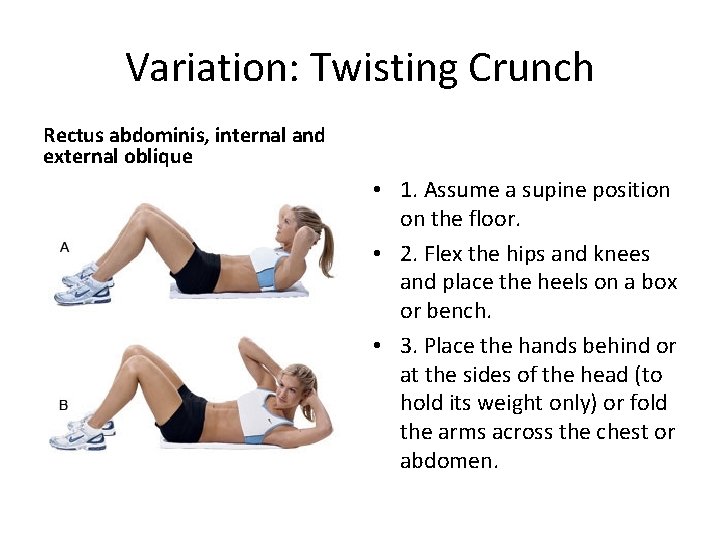 Variation: Twisting Crunch Rectus abdominis, internal and external oblique • 1. Assume a supine