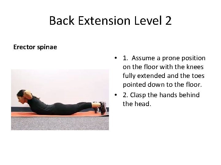 Back Extension Level 2 Erector spinae • 1. Assume a prone position on the