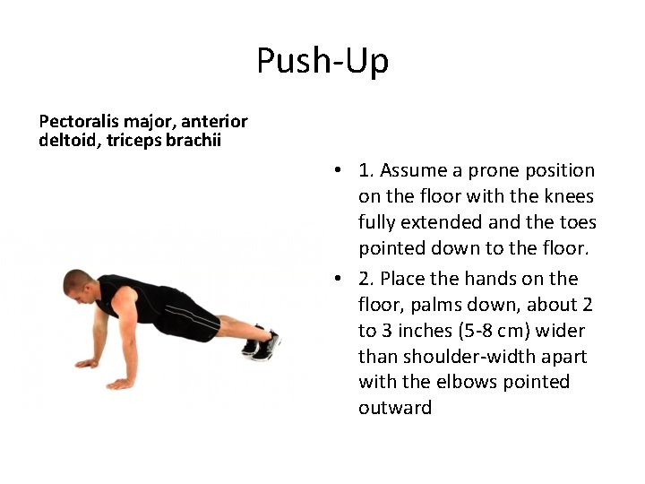 Push-Up Pectoralis major, anterior deltoid, triceps brachii • 1. Assume a prone position on