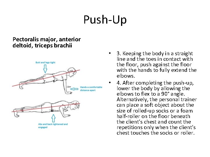 Push-Up Pectoralis major, anterior deltoid, triceps brachii • 3. Keeping the body in a