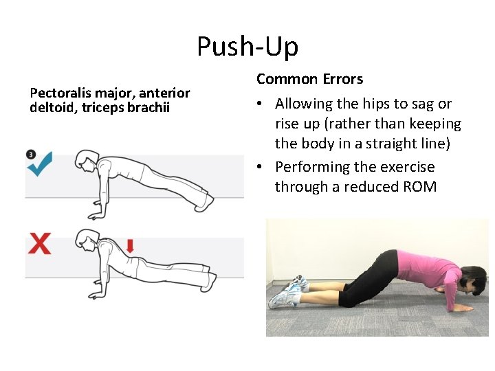 Push-Up Pectoralis major, anterior deltoid, triceps brachii Common Errors • Allowing the hips to