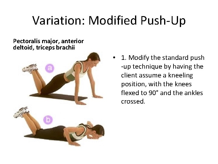 Variation: Modified Push-Up Pectoralis major, anterior deltoid, triceps brachii • 1. Modify the standard