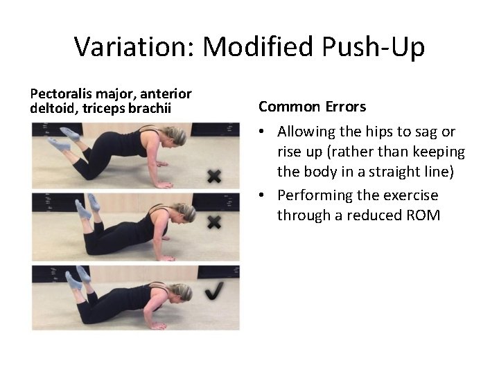 Variation: Modified Push-Up Pectoralis major, anterior deltoid, triceps brachii Common Errors • Allowing the