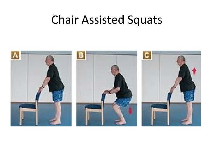  Chair Assisted Squats 