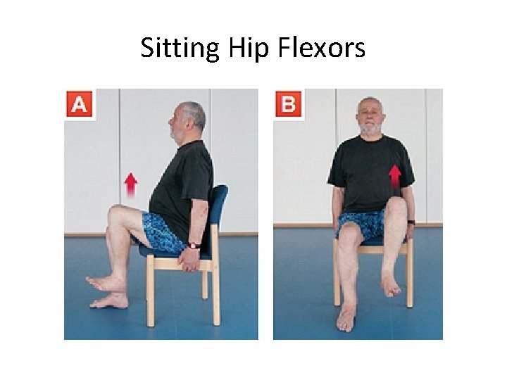 Sitting Hip Flexors 