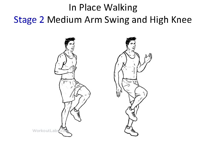 In Place Walking Stage 2 Medium Arm Swing and High Knee 
