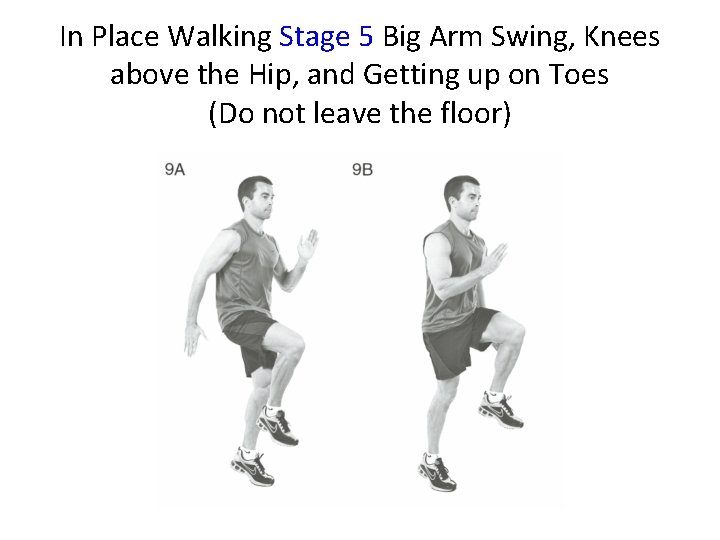 In Place Walking Stage 5 Big Arm Swing, Knees above the Hip, and Getting