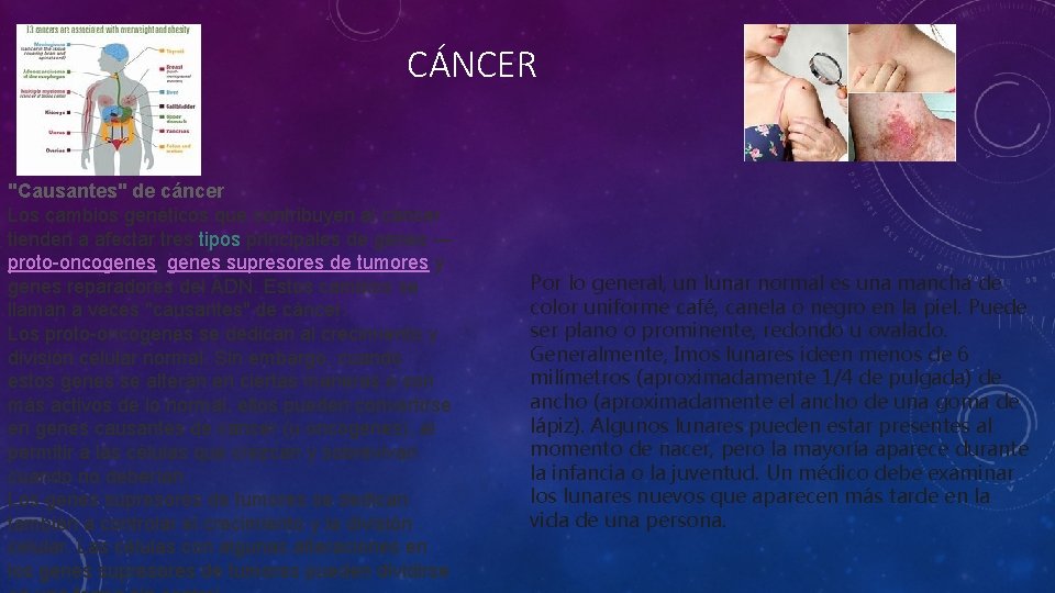 CÁNCER "Causantes" de cáncer Los cambios genéticos que contribuyen al cáncer tienden a afectar