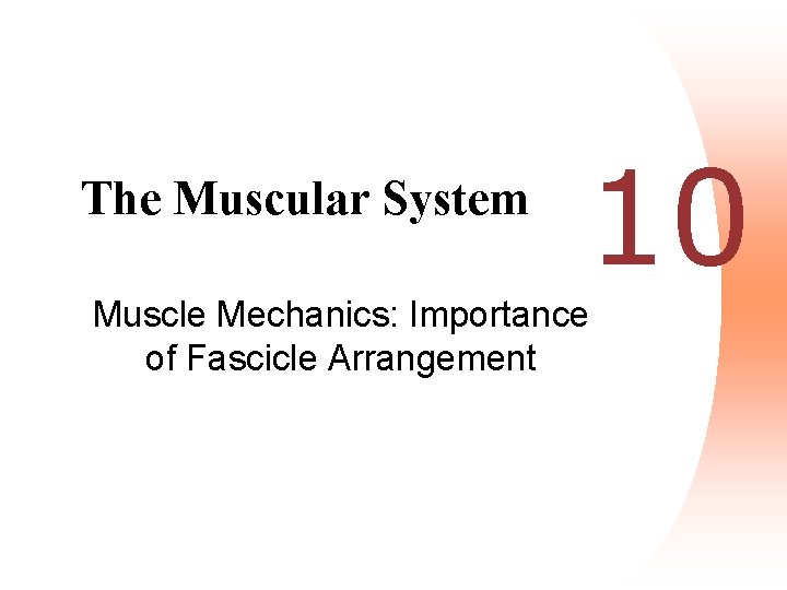 The Muscular System 10 Muscle Mechanics: Importance of Fascicle Arrangement 