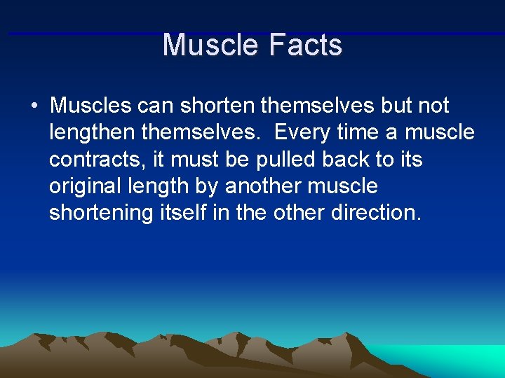 Muscle Facts • Muscles can shorten themselves but not lengthen themselves. Every time a