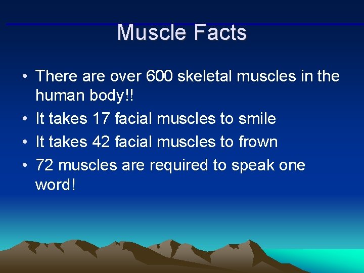 Muscle Facts • There are over 600 skeletal muscles in the human body!! •
