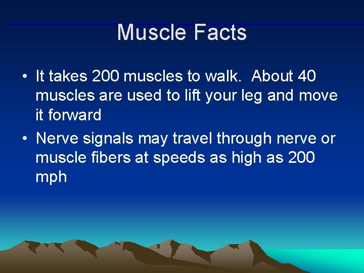 Muscle Facts • It takes 200 muscles to walk. About 40 muscles are used