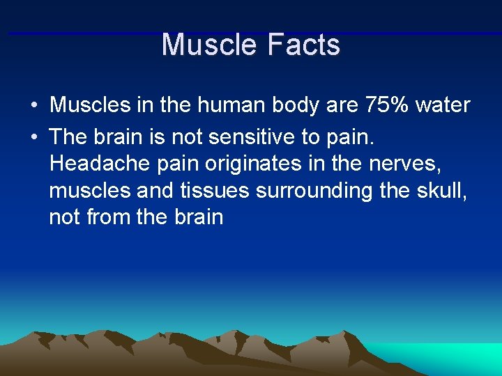 Muscle Facts • Muscles in the human body are 75% water • The brain