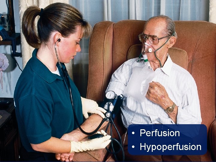  • Perfusion • Hypoperfusion 