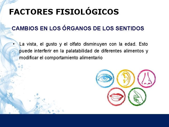 FACTORES FISIOLÓGICOS CAMBIOS EN LOS ÓRGANOS DE LOS SENTIDOS • La vista, el gusto