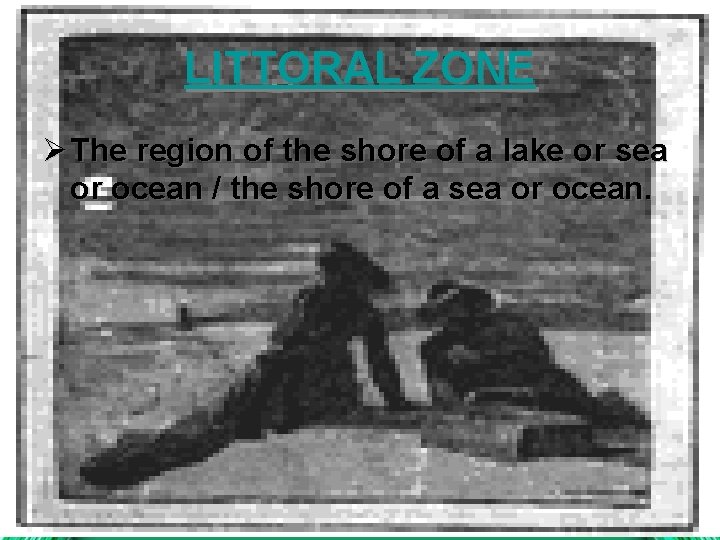 LITTORAL ZONE Ø The region of the shore of a lake or sea or