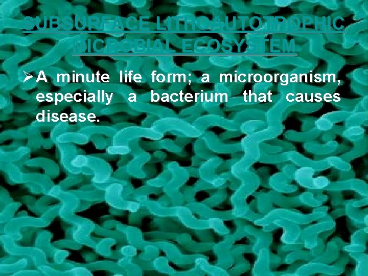 SUBSURFACE LITHOAUTOTROPHIC MICROBIAL ECOSYSTEM Ø A minute life form; a microorganism, especially a bacterium