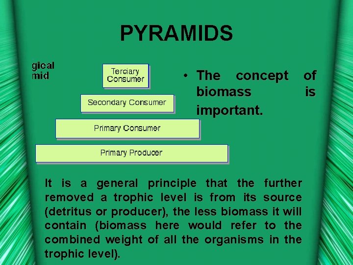PYRAMIDS • The concept of biomass is important. It is a general principle that