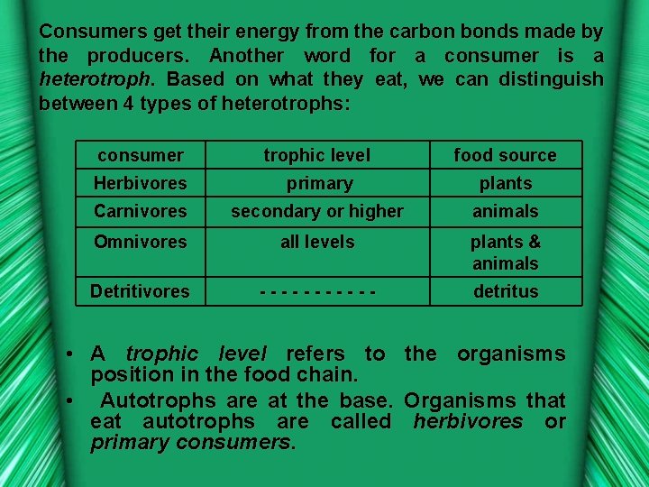 Consumers get their energy from the carbon bonds made by the producers. Another word