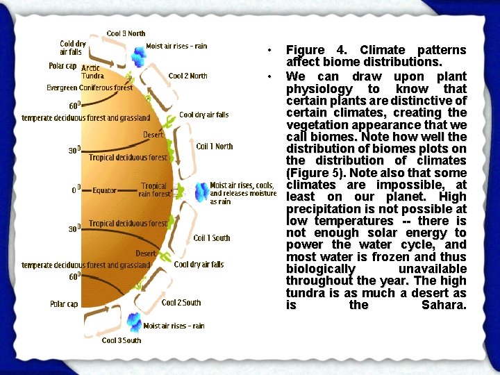  • • Figure 4. Climate patterns affect biome distributions. We can draw upon