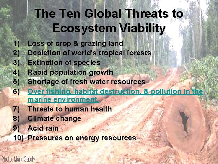 The Ten Global Threats to Ecosystem Viability 1) 2) 3) 4) 5) 6) Loss